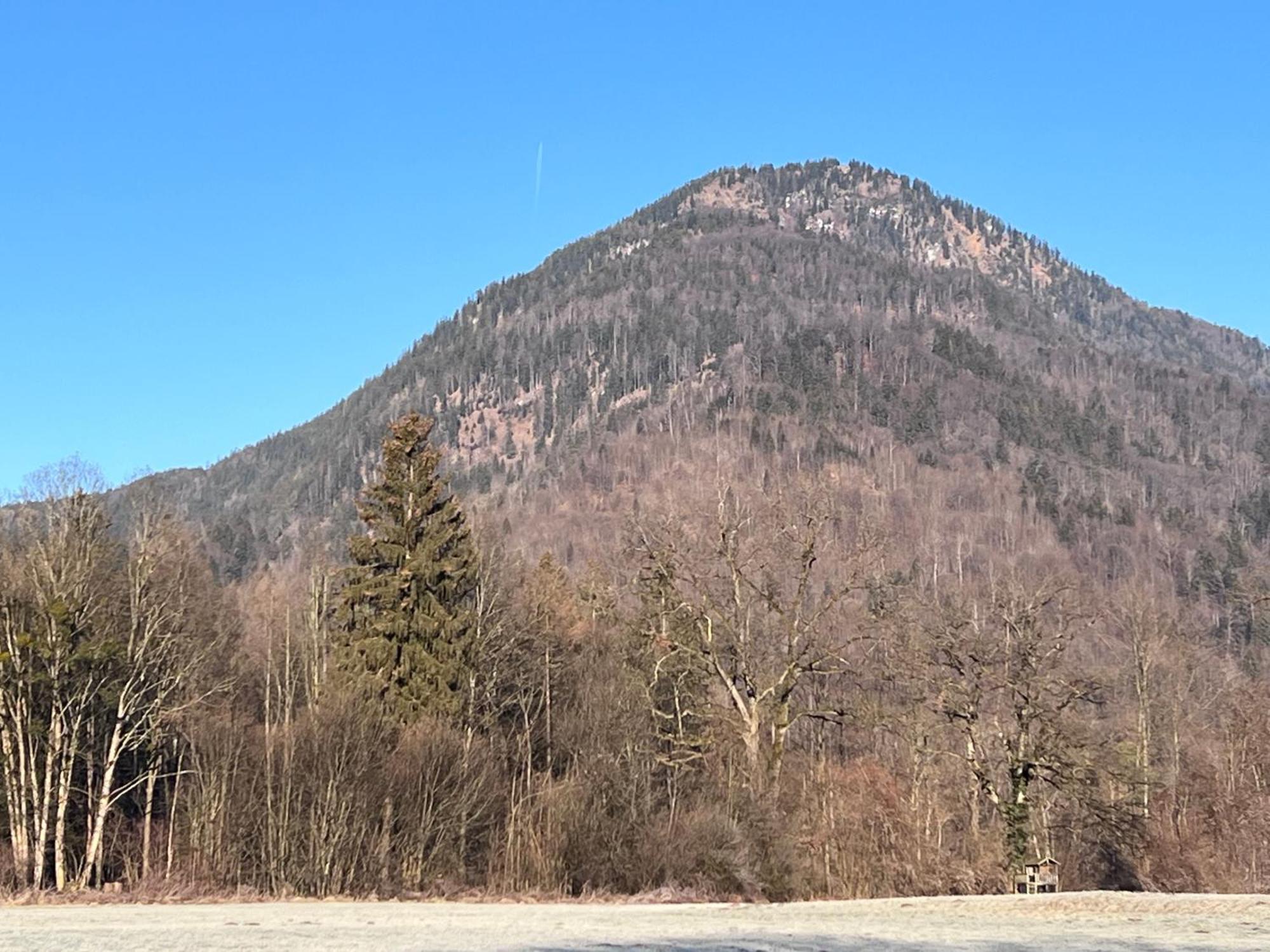 Ferienwohnung Bergwelten Oberaudorf Exteriör bild