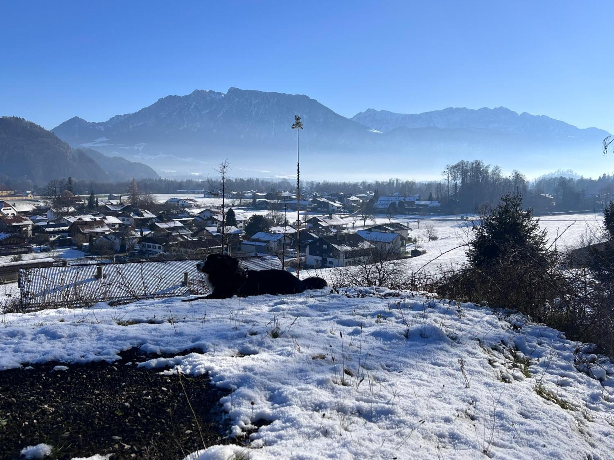 Ferienwohnung Bergwelten Oberaudorf Exteriör bild