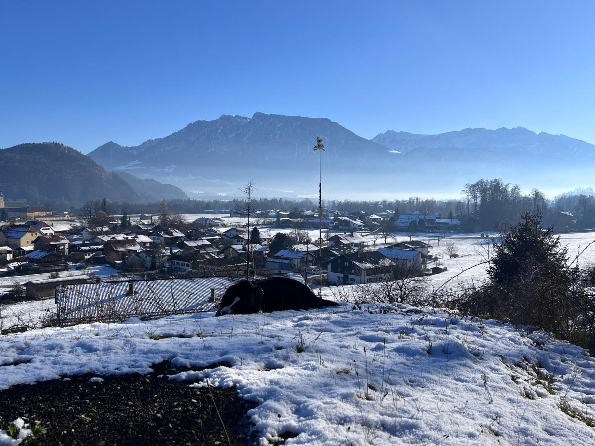 Ferienwohnung Bergwelten Oberaudorf Exteriör bild